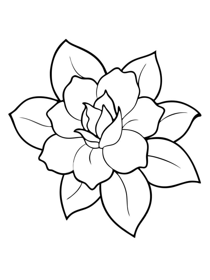 gardenias are creamy white flowers with a strong, sweet fragrance their petals are thick and waxy, vector