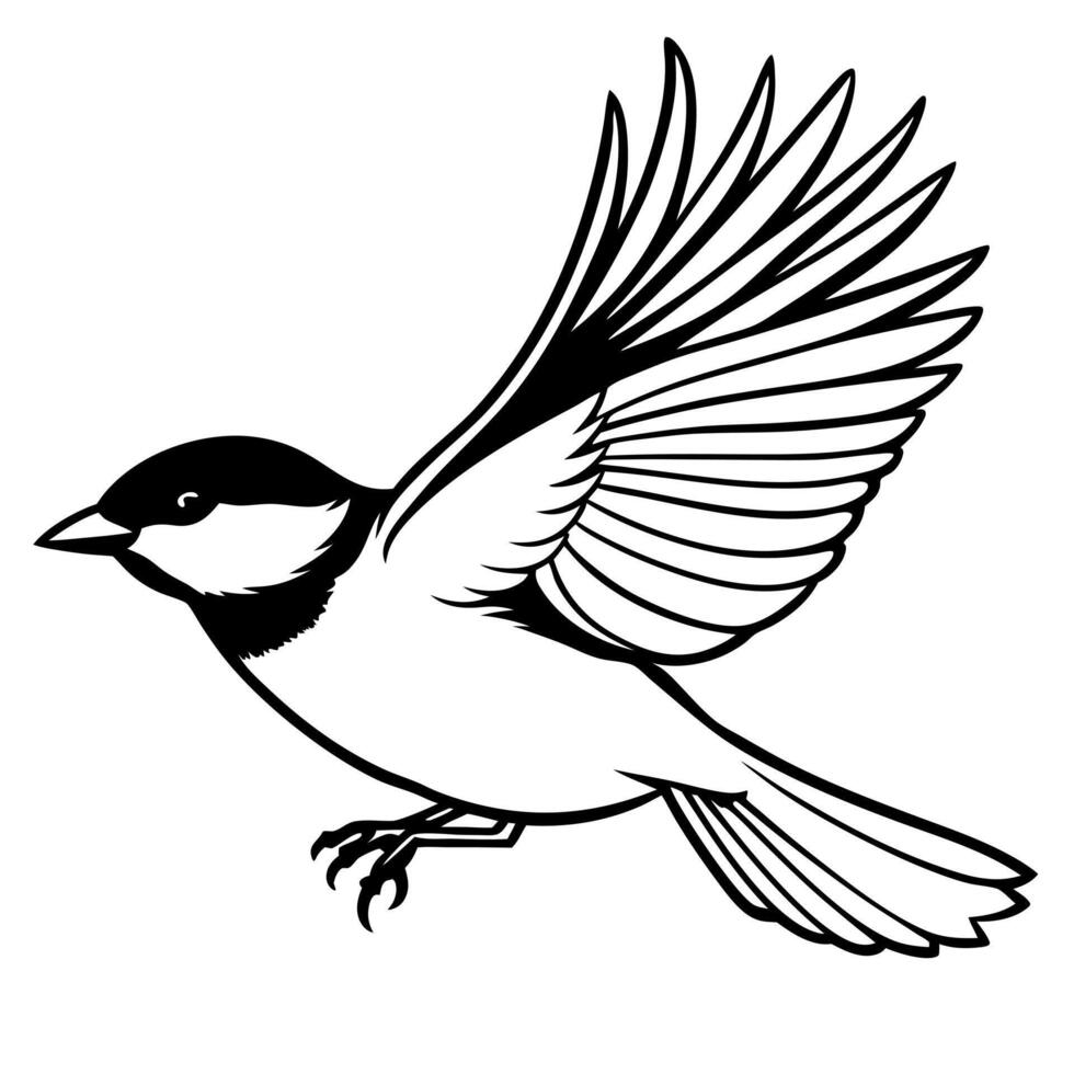 black capped chickadee flying, illustration line art vector
