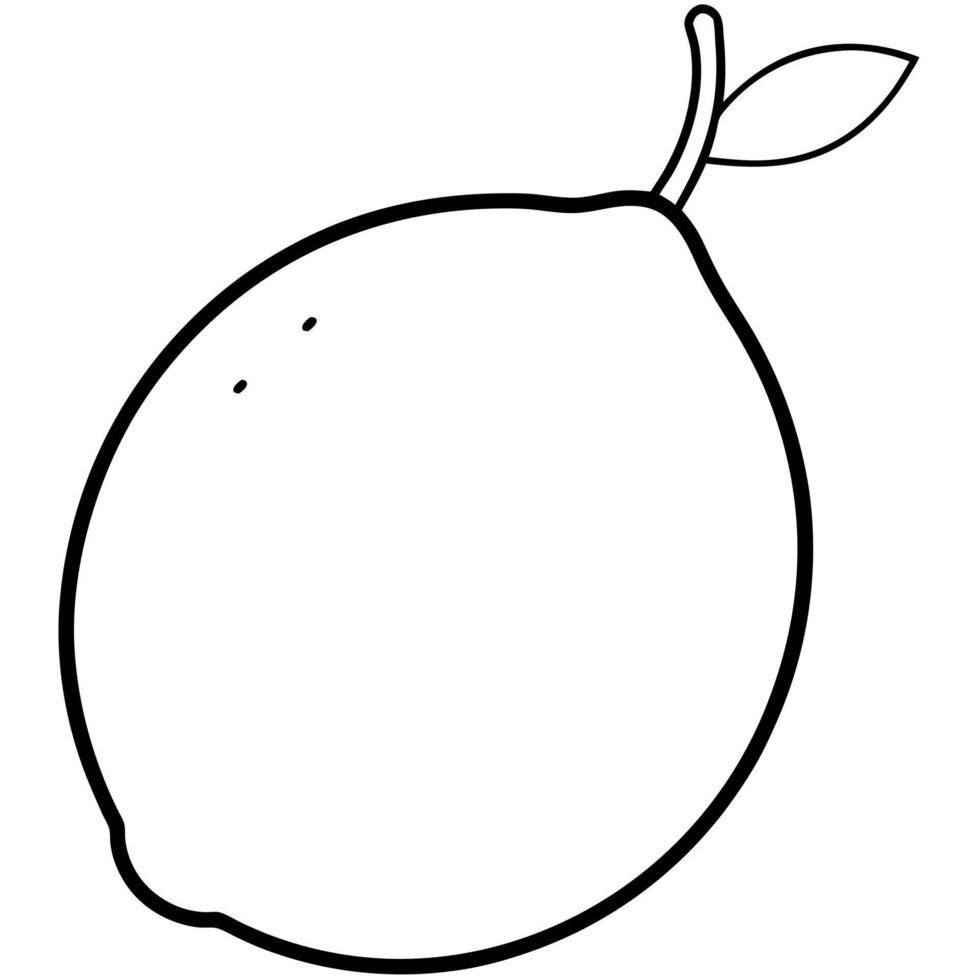 lemon without leaf, illustration line art vector