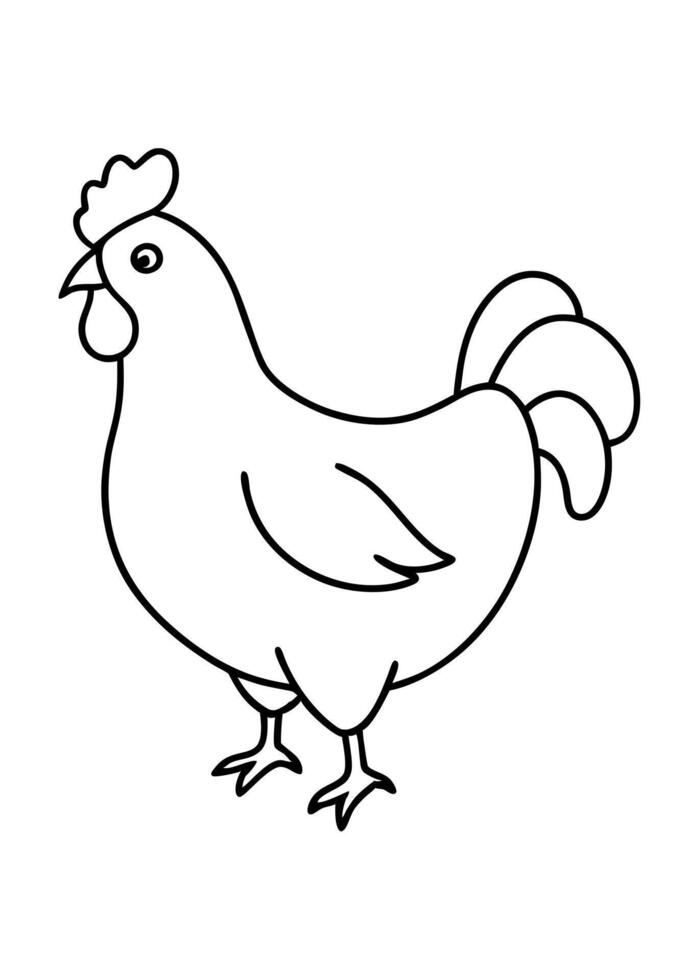chicken, illustration line art vector