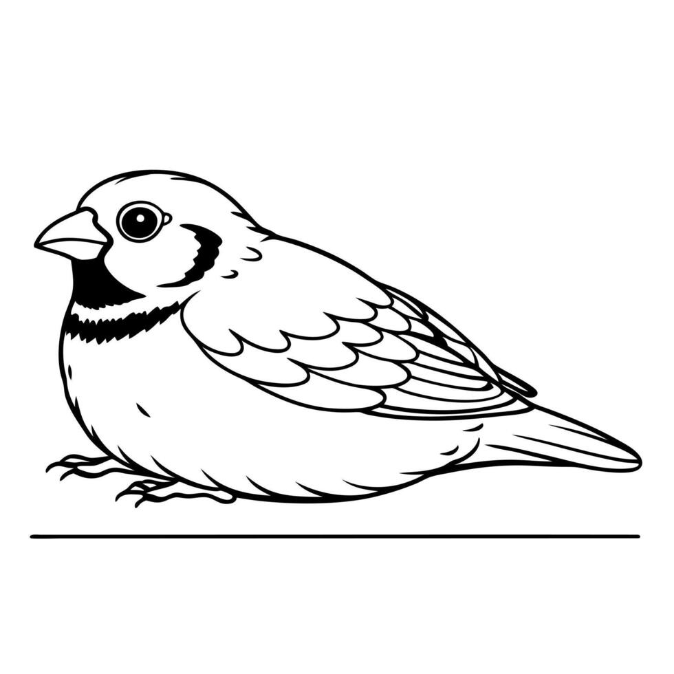 a finch bird is lying down, illustration line art vector