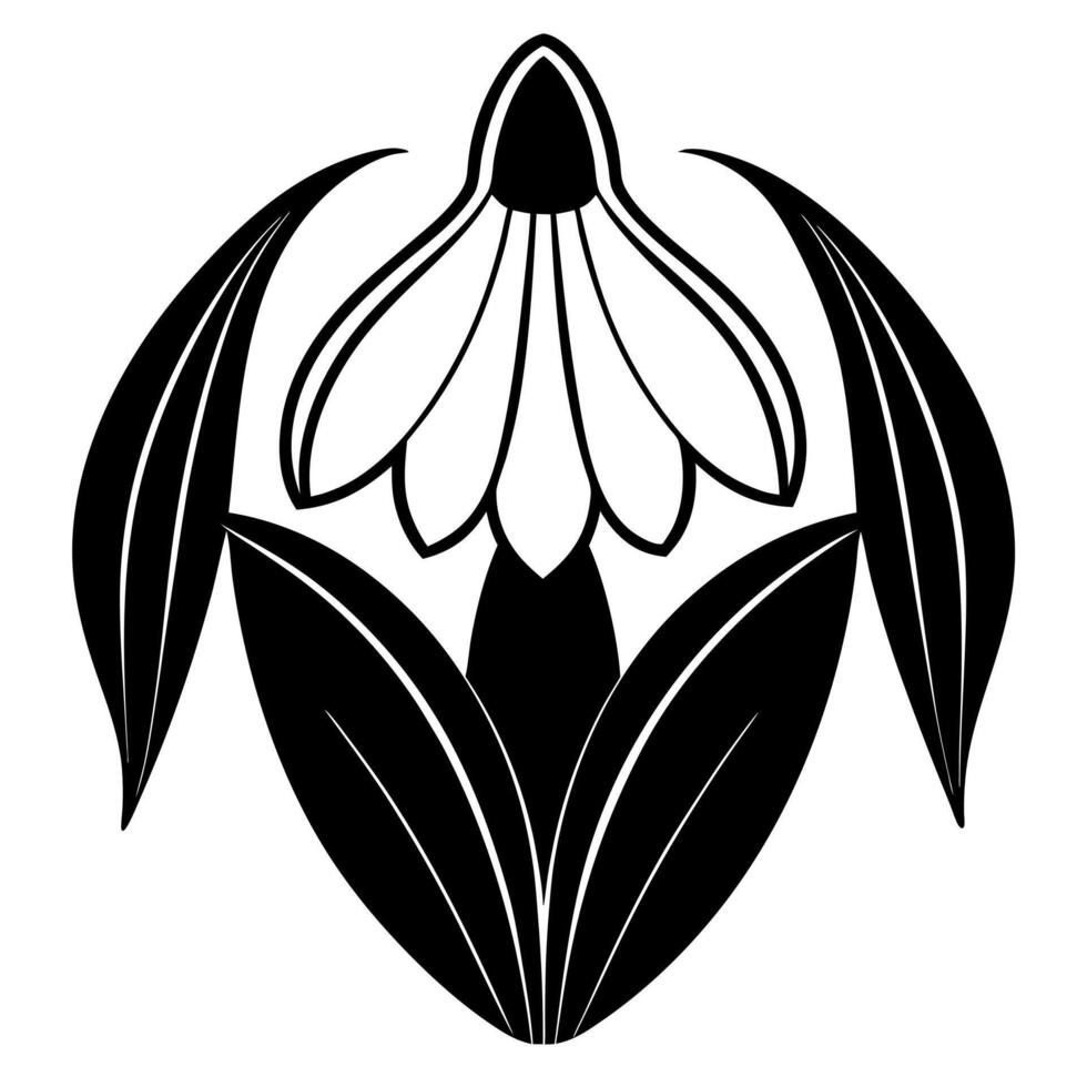a snowdrop with two leaves, illustration line art vector