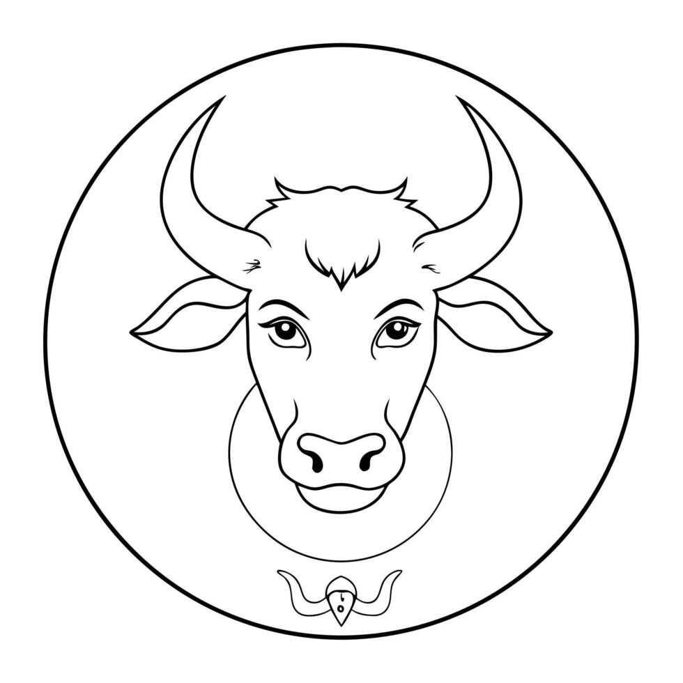 zodiac, illustration line art vector