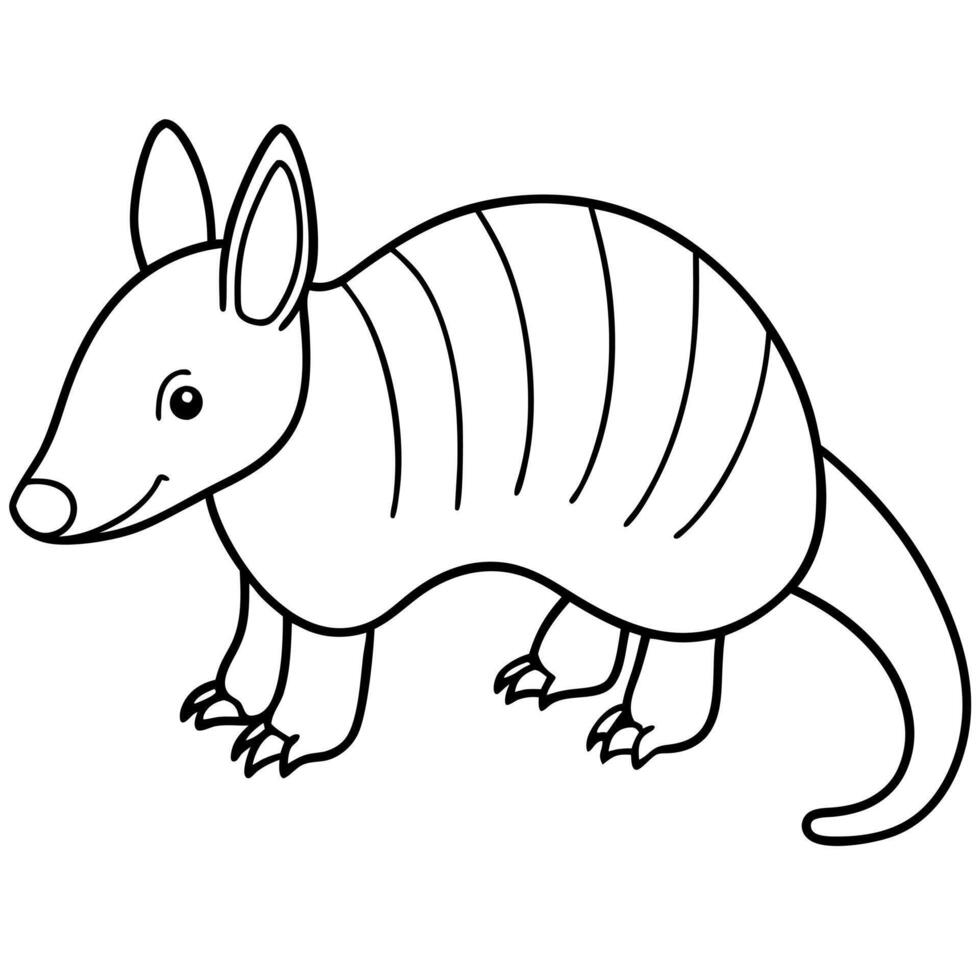 cute armadillo, illustration line art vector