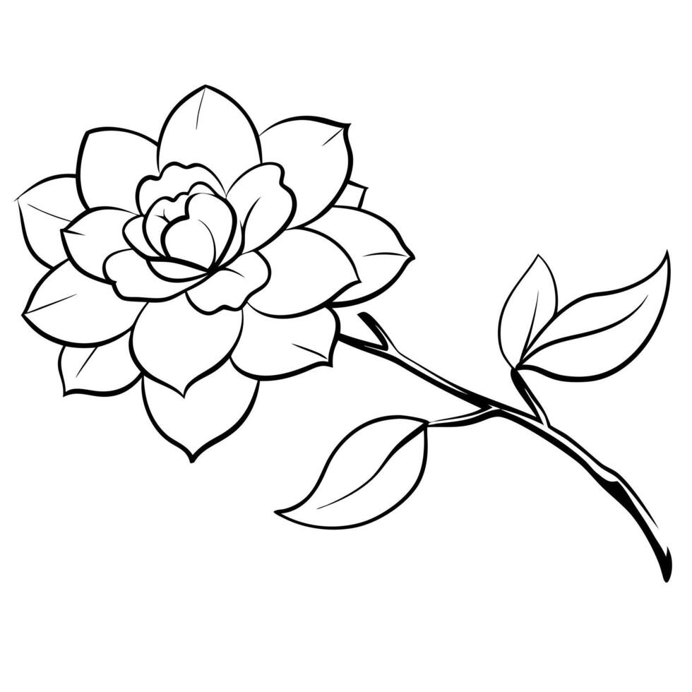 gardenia flowers on a crooked branch, illustration line art vector