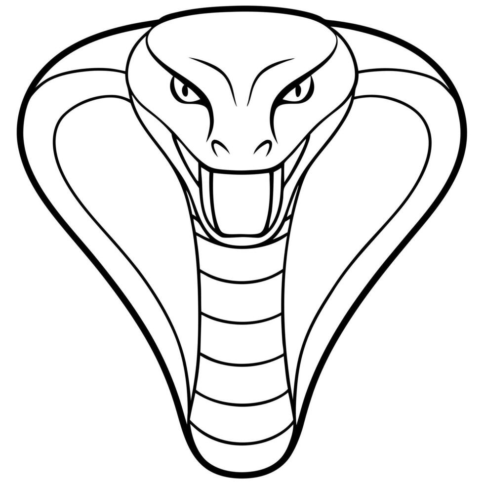 a king cobra head with white background, illustration line art vector