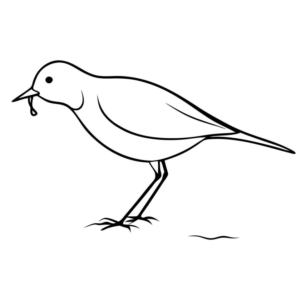 a lark bird is eating its food, illustration line art vector