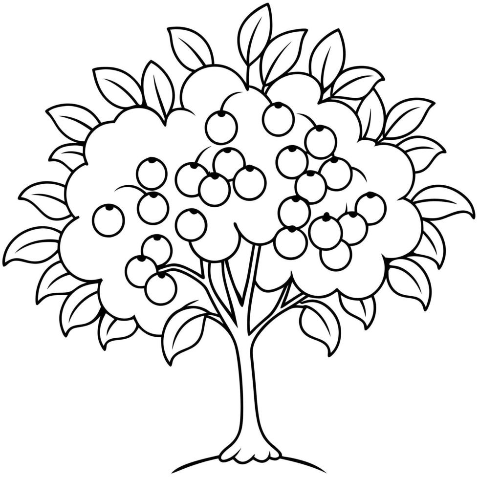 buckthorn tree, illustration line art vector