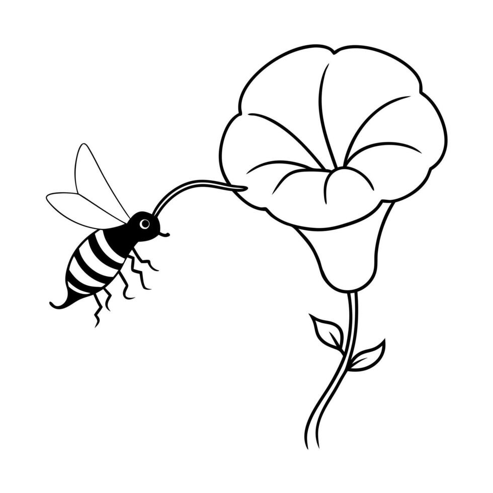 a bee is extracting honey from a morning glory flower, illustration line art vector