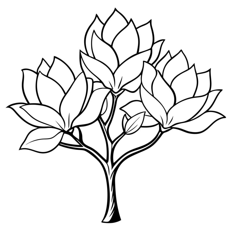 magnolia tree, illustration line art vector