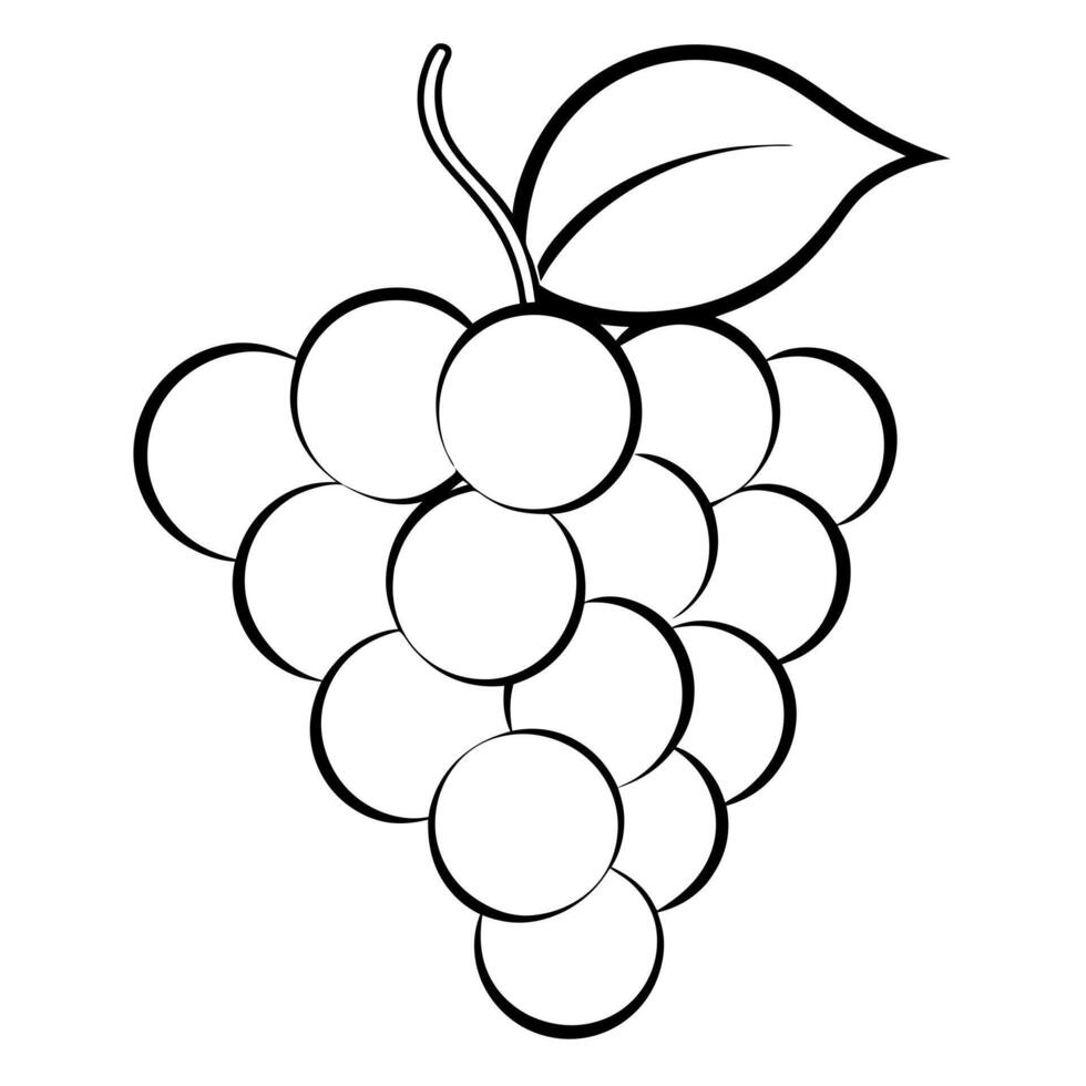 3d rendering of dynamic grape with silhouette beautiful line art, illustration line art vector