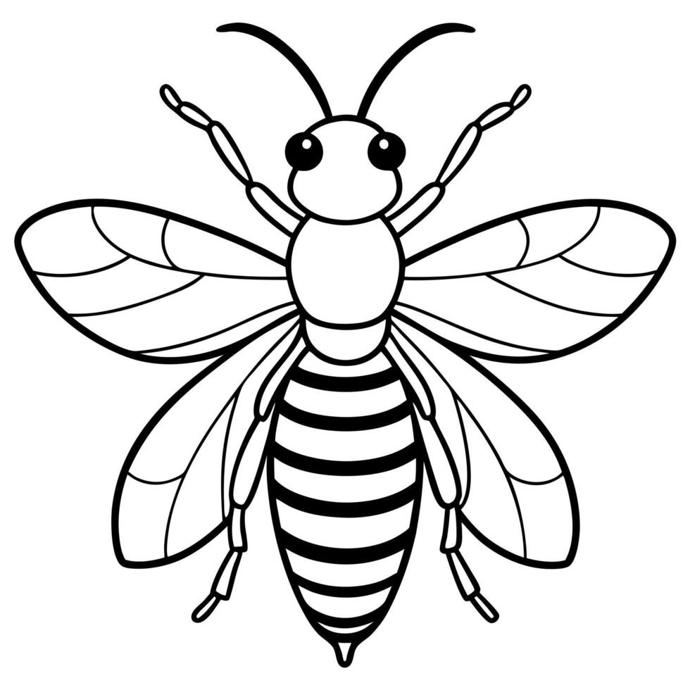 bee, illustration line art vector