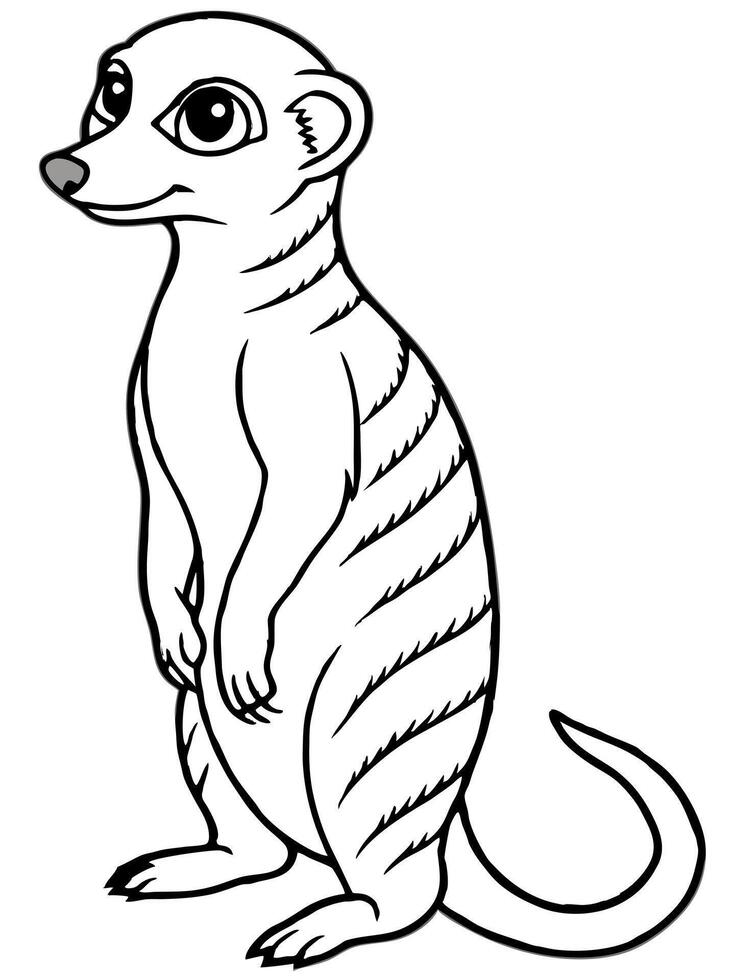meerkat, illustration line art vector
