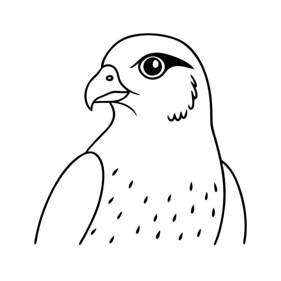 falcon, illustration line art vector