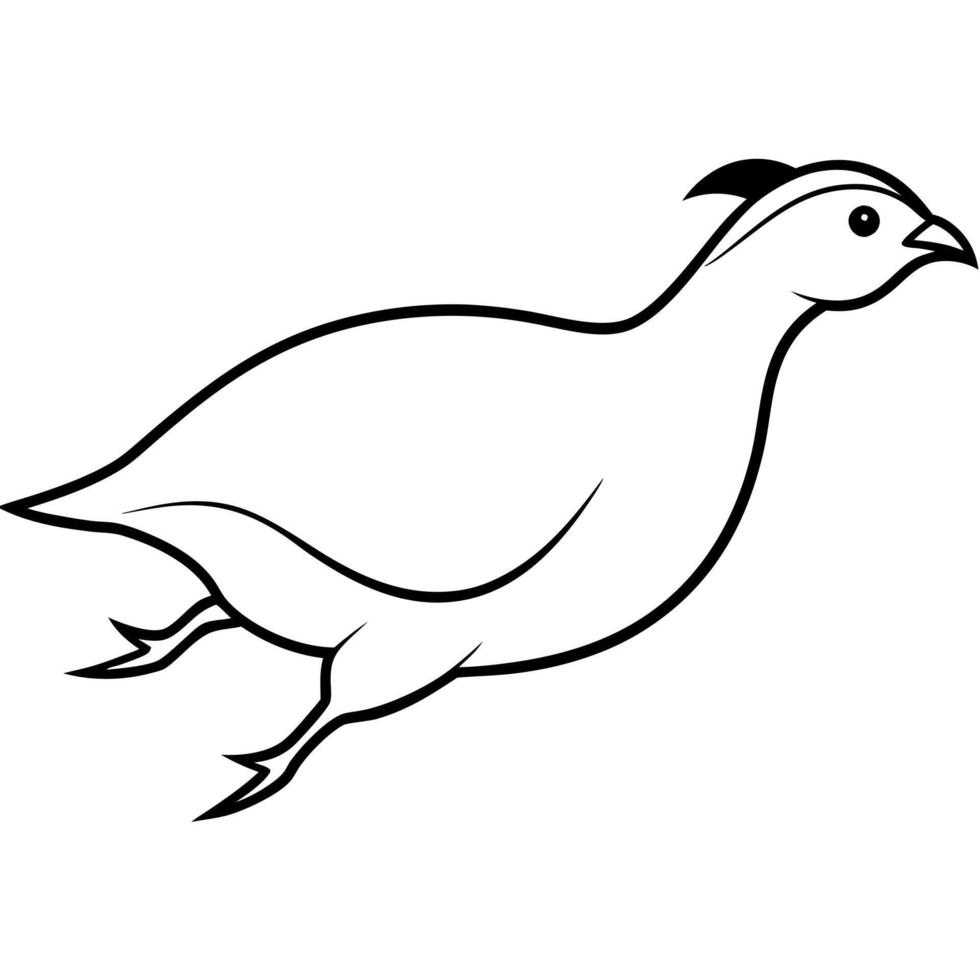 a chukar is jamping, illustration line art vector