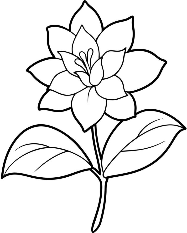a coloring page of an daphne flower with no color just black lines, illustration line art vector