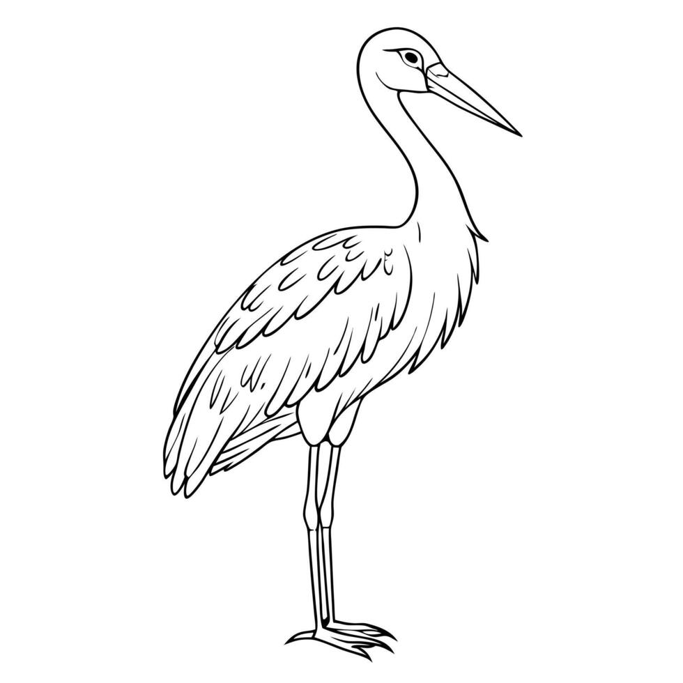 ukrainian stork, illustration line art vector
