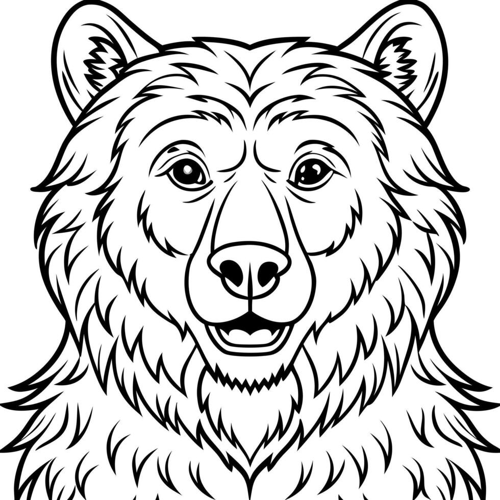 the bear, illustration line art vector