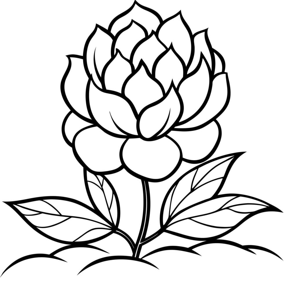a black and white illustration of full peony flowers and leaves on plant bed bold and easy line 3 vector