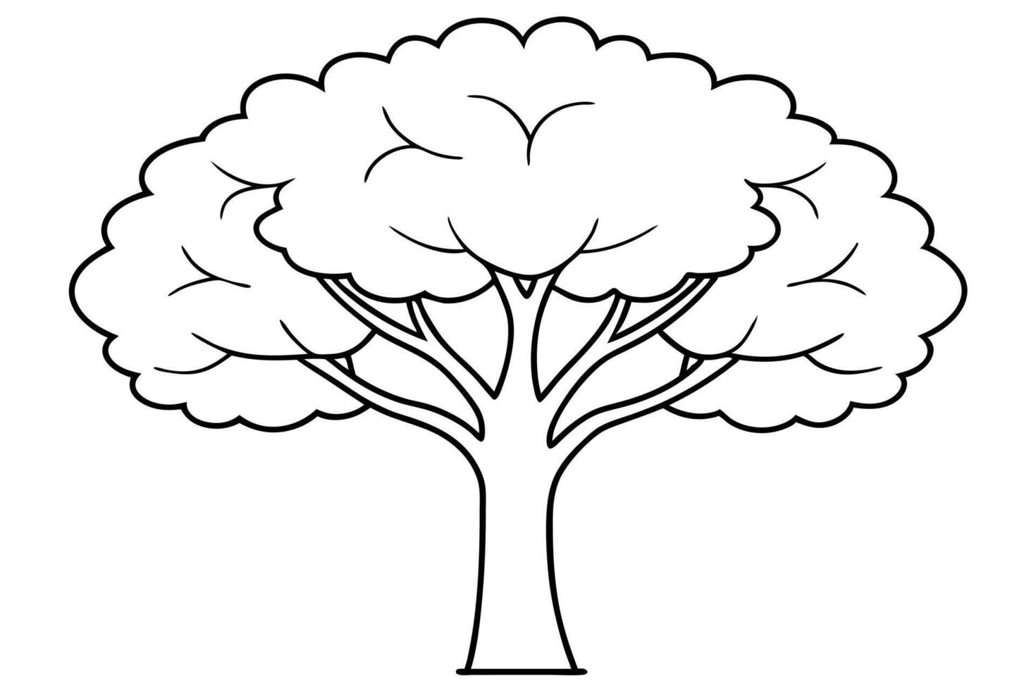 elm, illustration line art vector