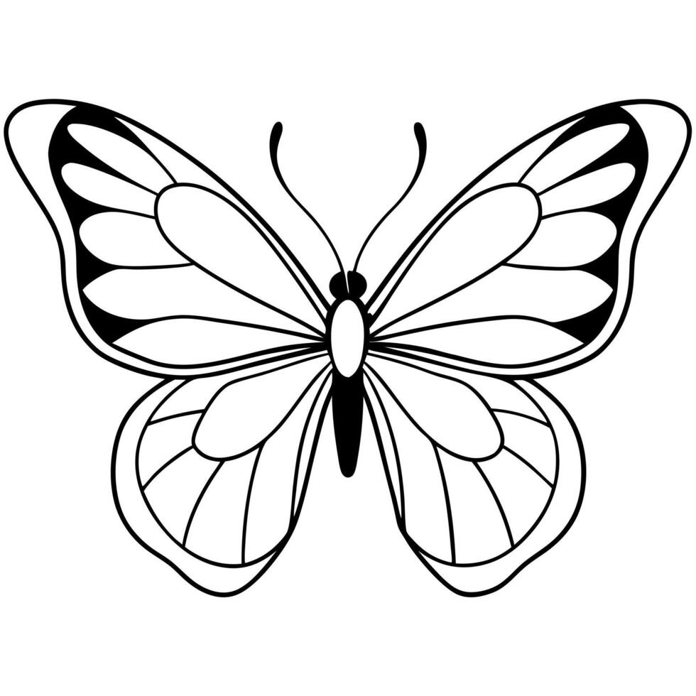 butterfly white background, illustration line art vector