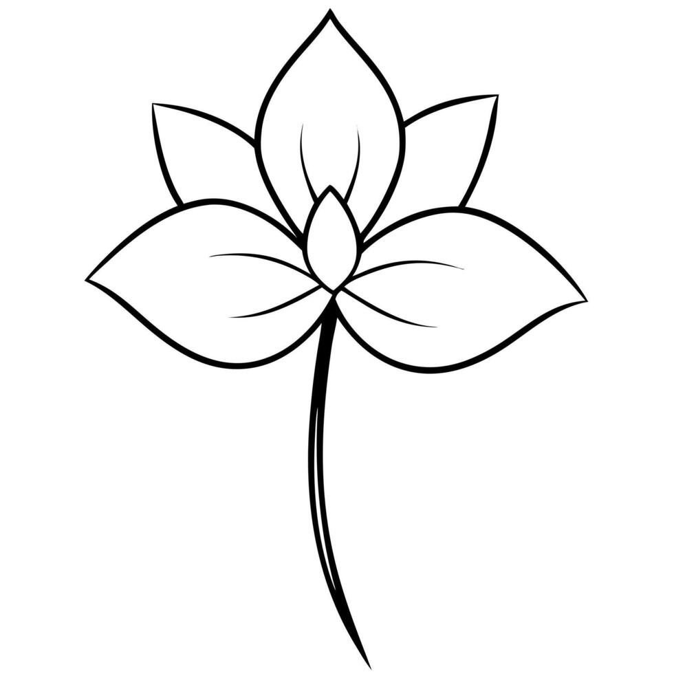 a black and white sketch of a jasmine flower with a large, stylized petal and a long stem, vector