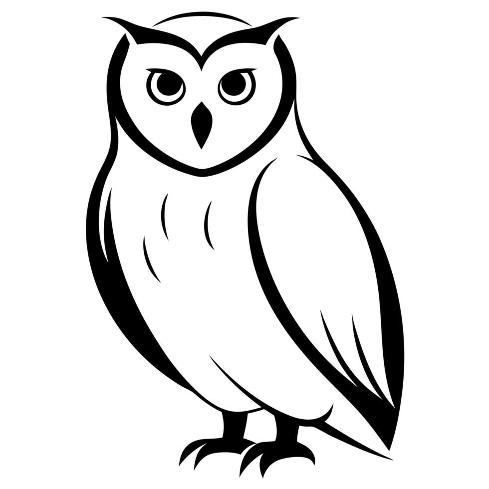 owl, illustration line art vector