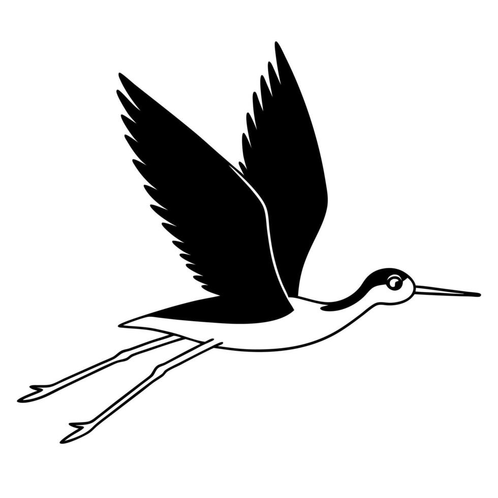 black necked stilt bird flying, illustration line art vector