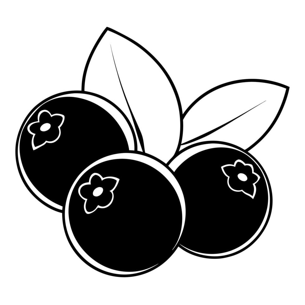 3d rendering of dynamic blueberries with silhouette beautiful line art, illustration line 51001284 Vector Art at Vecteezy 3d... 