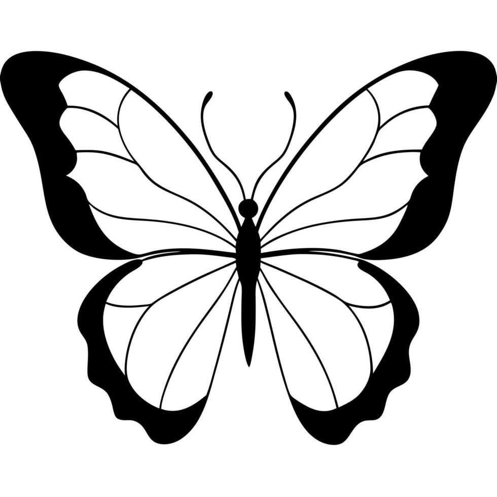 silhouette of big butterfly on a white background, illustration line art vector