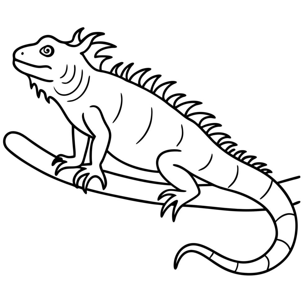 green iguana outline a green iguana perched on a branch with its dewlap extended and spiny back, vector