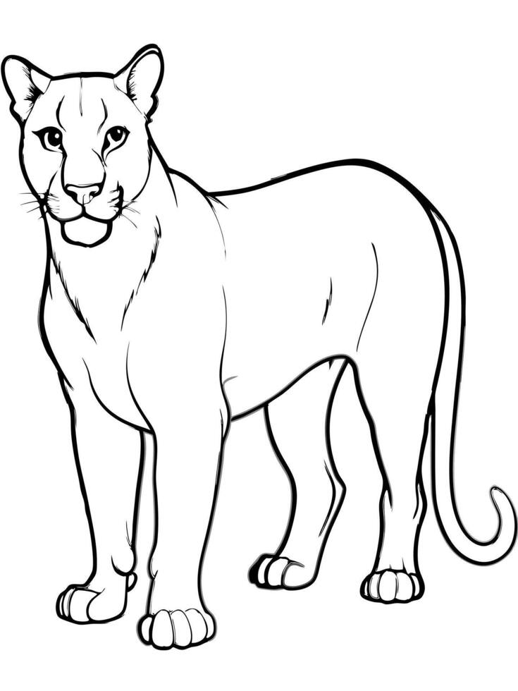 puma full, illustration line art vector