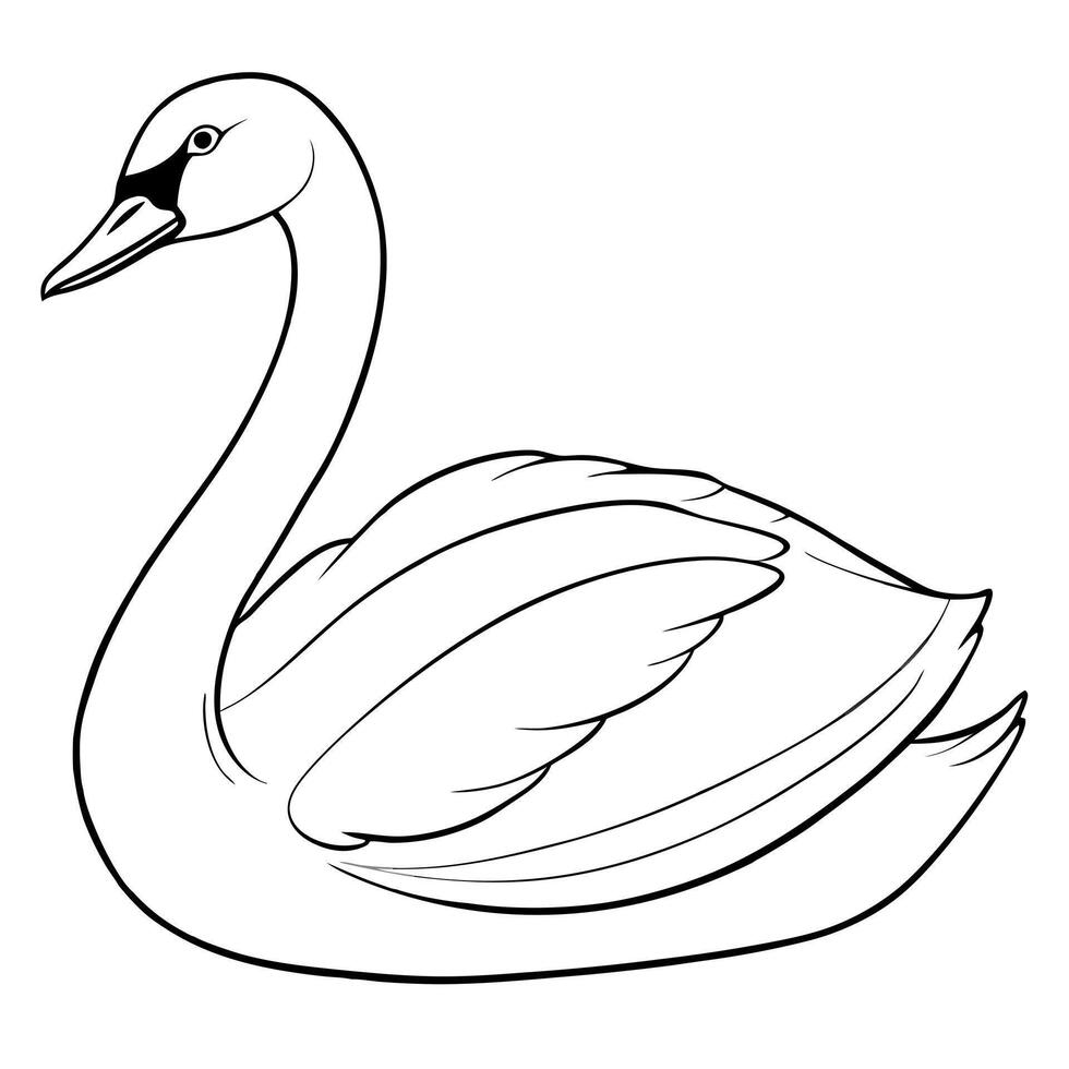 black swan bird sitting, illustration line art vector