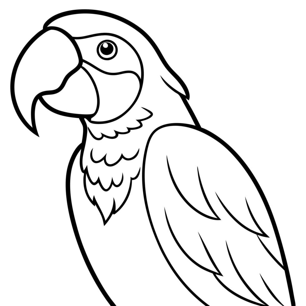 criar arara, illustration line art vector