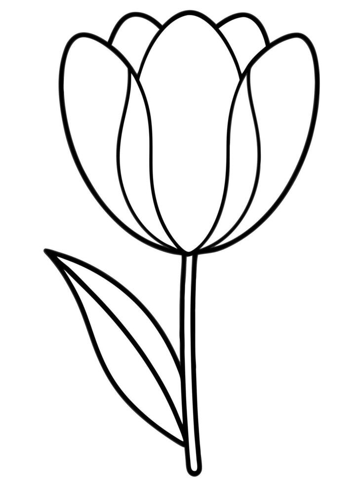 tulips are simple, cup-shaped flowers with bright, bold colors they bloom in the spring and are vector