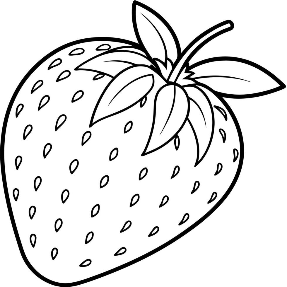 strawberrie, illustration line art vector