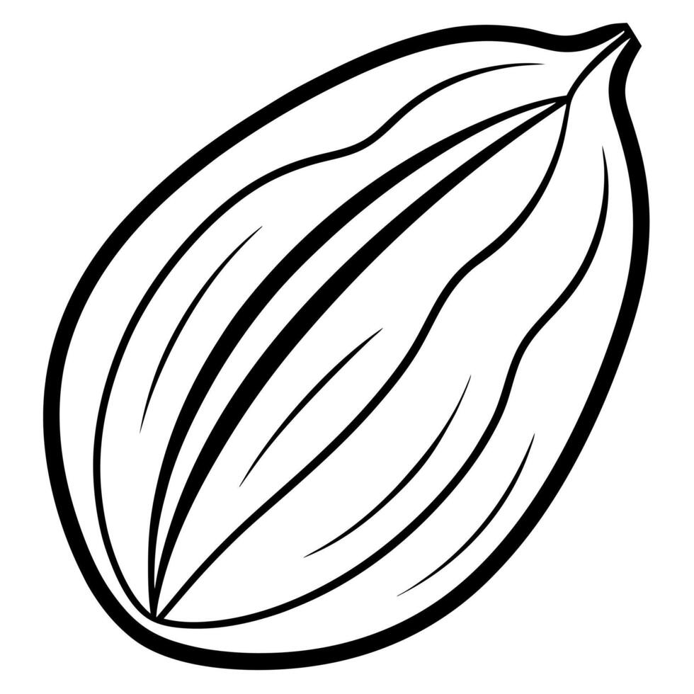 3d rendering of dynamic cacao with silhouette beautiful line art, illustration line art vector