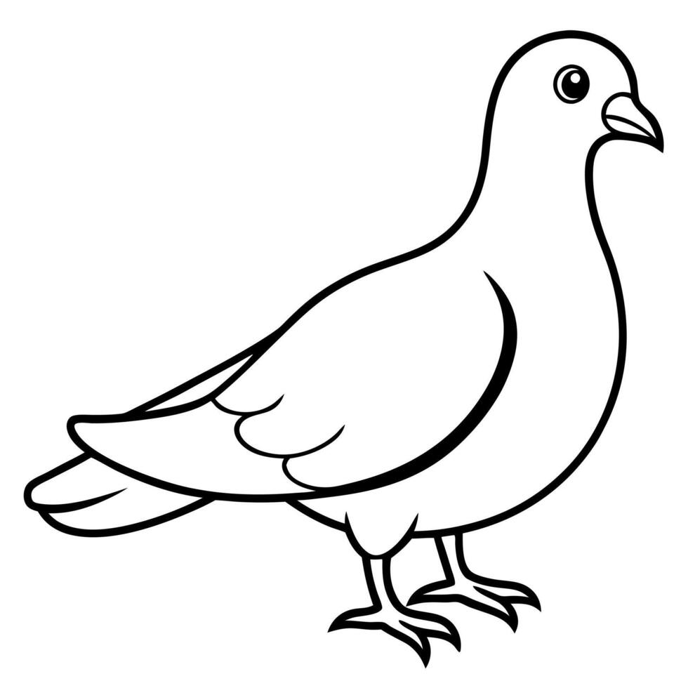 white dove bird, illustration line art vector