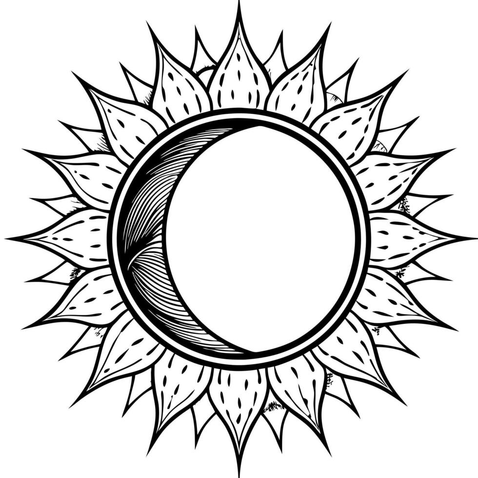 solar eclipse, illustration line art vector