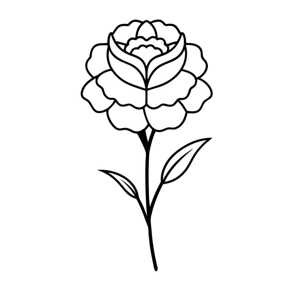 red carnation, illustration line art vector