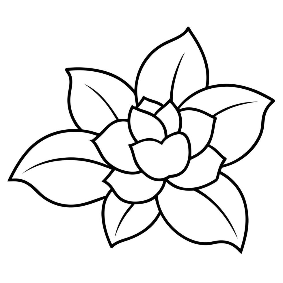gardenias with bud, illustration line art vector
