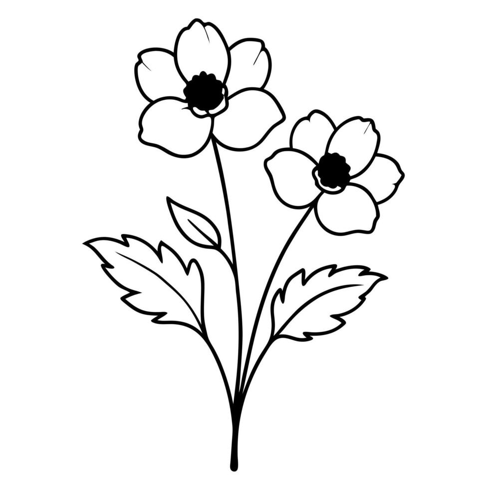 anemones flower buds with leaf, illustration line art vector