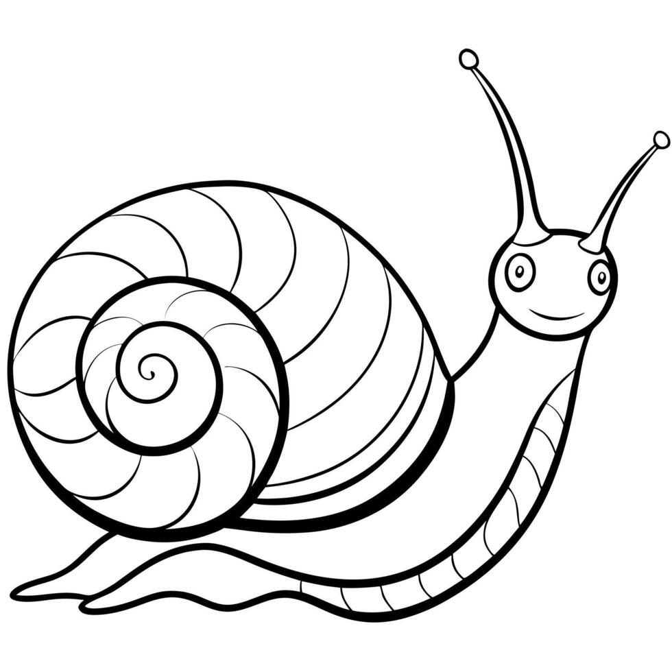 snail, illustration line art vector