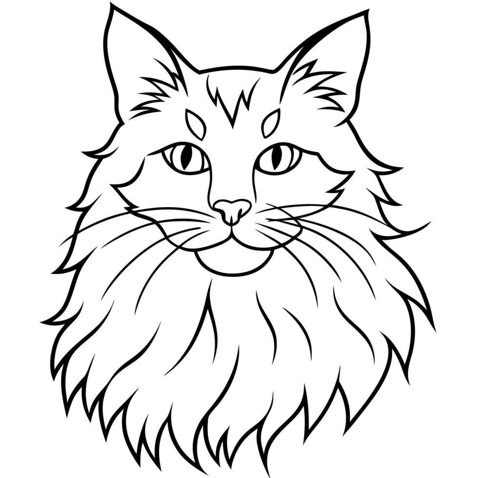 maine cat, illustration line art vector