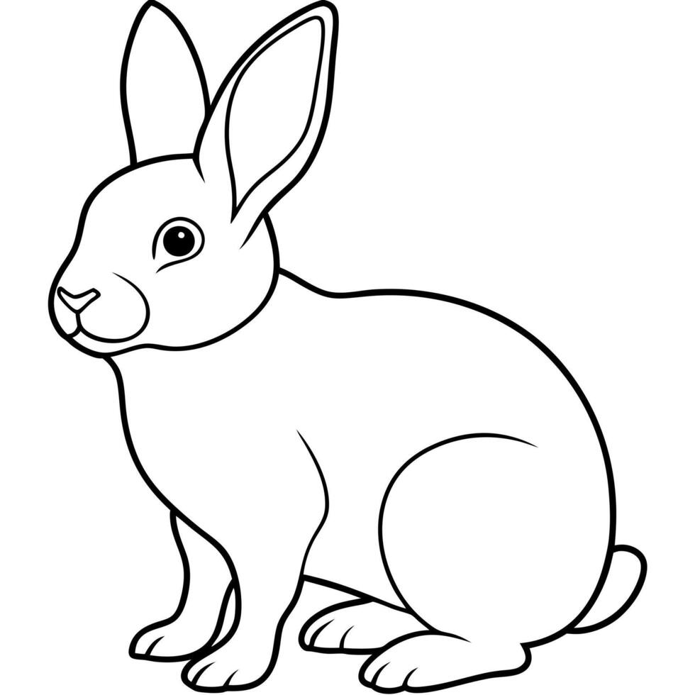 rabbit line art, illustration line art vector