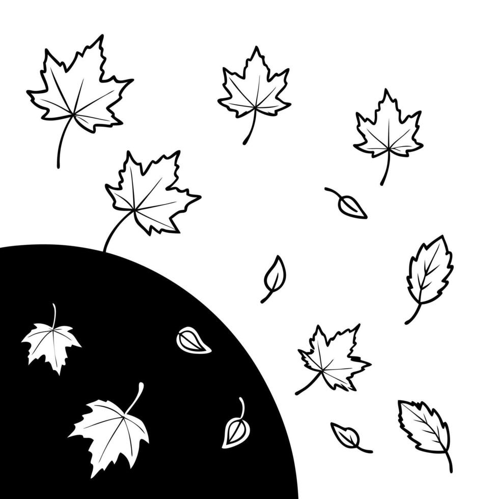 fall, illustration line art vector
