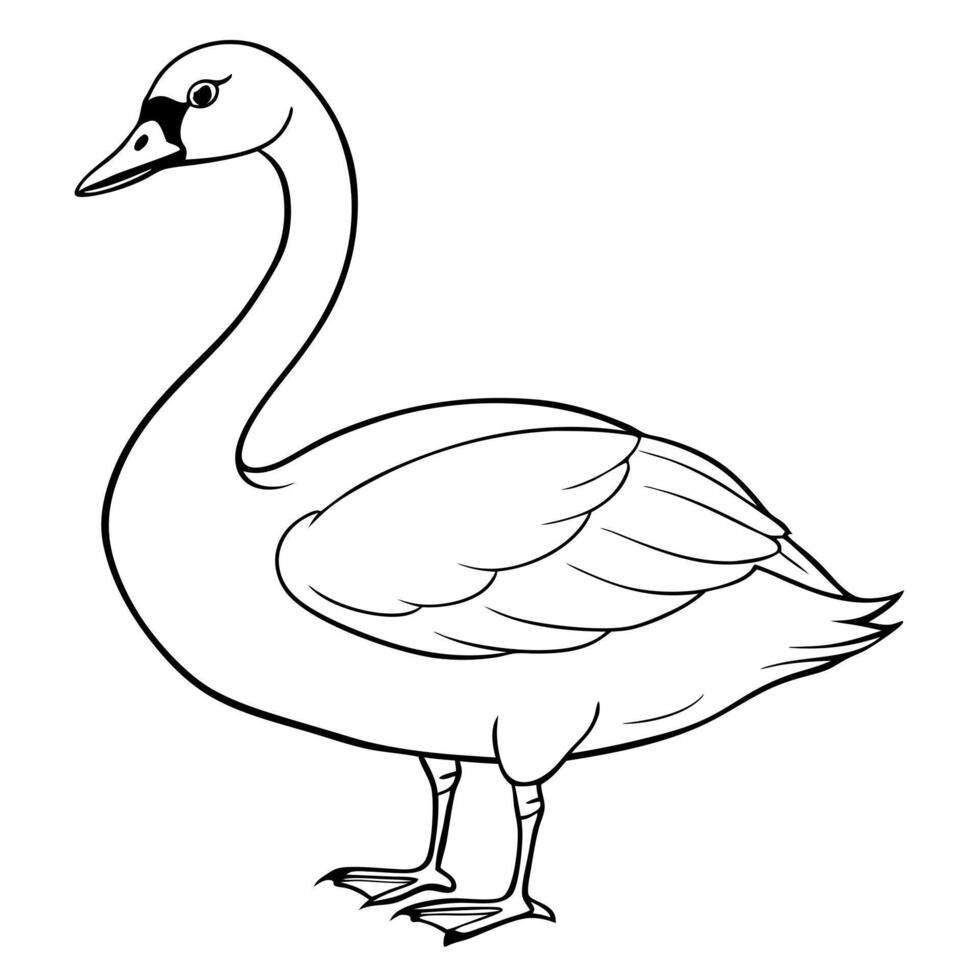 black swan bird standing, illustration line art vector