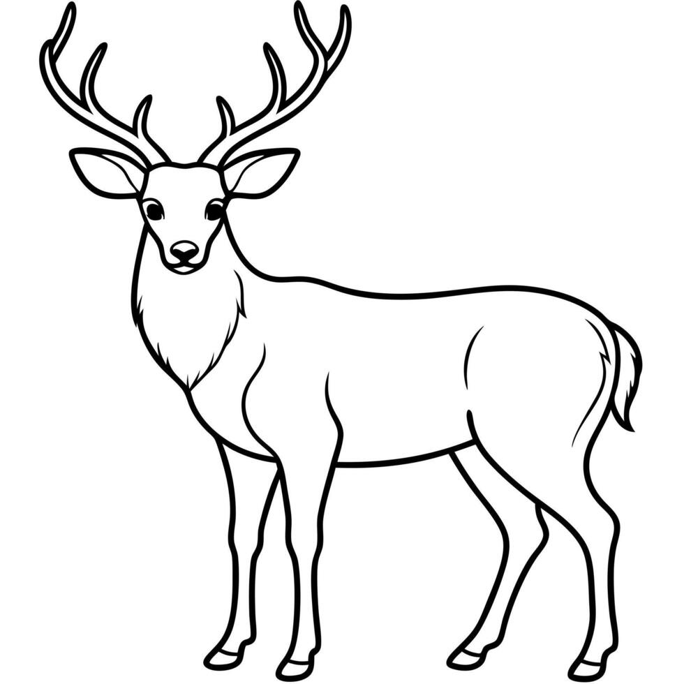 big deer, illustration line art vector