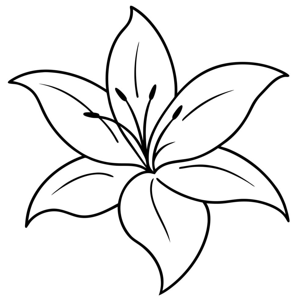 lily pattern, illustration line art vector