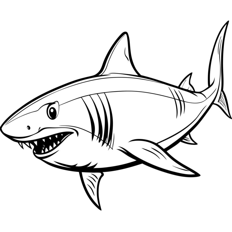 a great white shark , illustration , in white background, illustration line art vector
